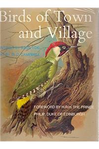 Birds Of Town And Village