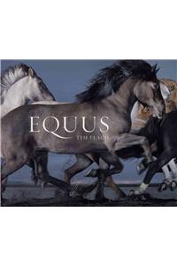 Equus (Mini)