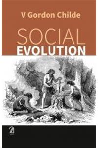 Social Evolution