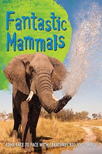 Fast Facts! Fantastic Mammals