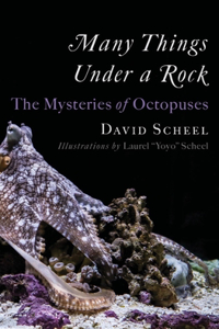 Many Things Under a Rock - The Mysteries of Octopuses: The Mysteries of Octopuses