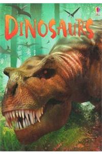 DINOSAURS DISCOVERY