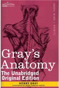 Gray's Anatomy