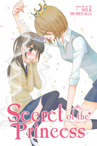 Secret of the Princess