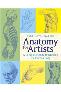 Anatomy for Artists