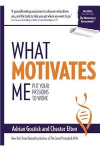 What Motivates Me: Put Your Passions to Work: Put Your Passions to Work