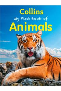 Collins:My First Book Of Animals