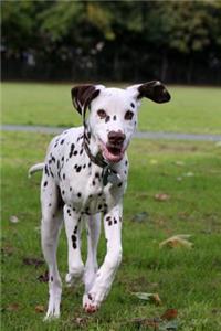 Such a Cute Dalmatian Puppy Dog Journal