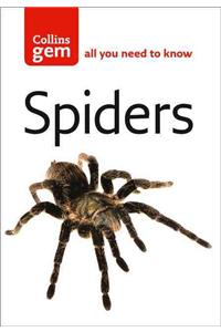 Spiders