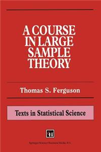 A Course in Large Sample Theory