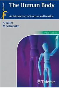 Human Body: An Introduction to Structure and Function