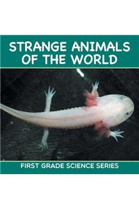 Strange Animals Of The World: First Grade Science Series