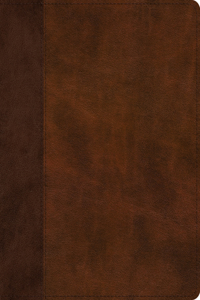 ESV Journaling Bible (Trutone, Brown/Tan, Timeless Design)