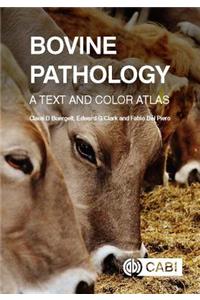 Bovine Pathology