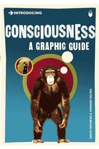 Introducing Consciousness: A Graphic Guide