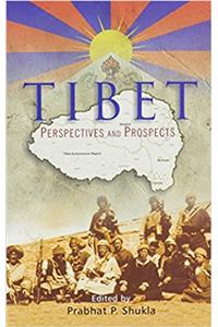 Tibet: Perspectives and Prospects