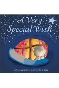 A Very Special Wish