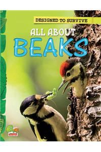 Designed to Survive: All About Beaks