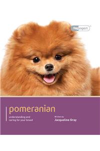 Pomeranian - Dog Expert