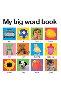 My Big Word Book