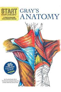 Start Exploring: Gray's Anatomy