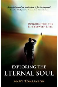 Exploring the Eternal Soul - Insights from the Life Between Lives