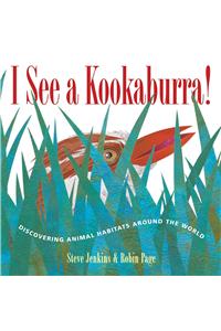 I See a Kookaburra!