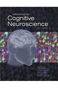 Principles of Cognitive Neuroscience