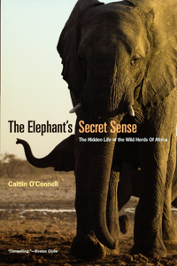 Elephant's Secret Sense