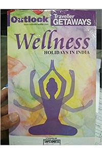 WELLNESS HOLIDAY IN INDIA 2ND EDT 2017