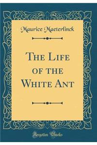 The Life of the White Ant (Classic Reprint)