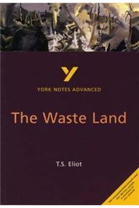 The Waste Land: York Notes Advanced - everything you need to study and prepare for the 2025 and 2026 exams