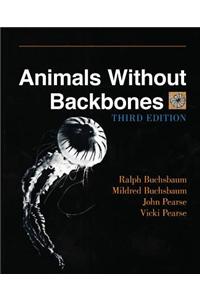 Animals Without Backbones