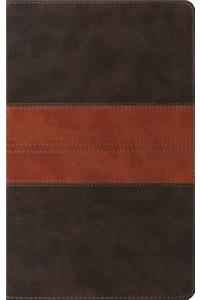 ESV Thinline Reference Bible