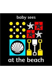 Baby Sees: At the Beach