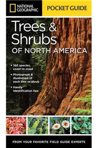 National Geographic Pocket Guide to Trees and Shrubs of North America