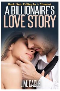 Billionaire's Love Story Book 1