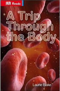 Trip Through the Body