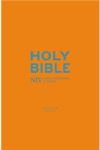 NIV Pocket Cyan Soft-tone Bible with Zip