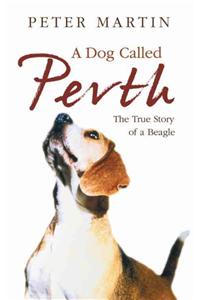 A Dog called Perth