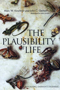 Plausibility of Life