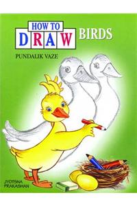 How to Draw: Birds