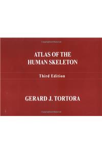 Atlas of the Human Skeleton