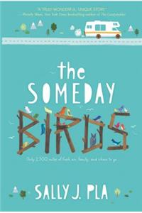 Someday Birds