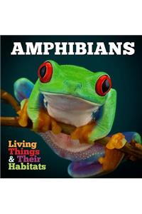 Amphibians