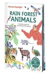 Ultimate Spotlight: Rain Forest Animals