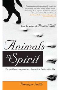 Animals in Spirit