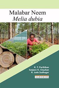 Malabar Neem Melia Dubia