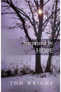 Surprised by Hope