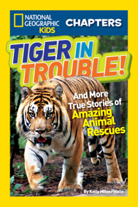 Tiger in Trouble!